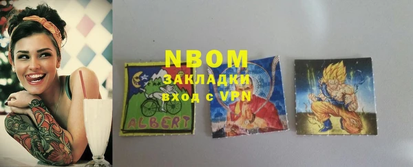 бошки Новодвинск