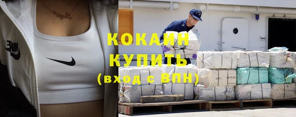 бошки Новодвинск