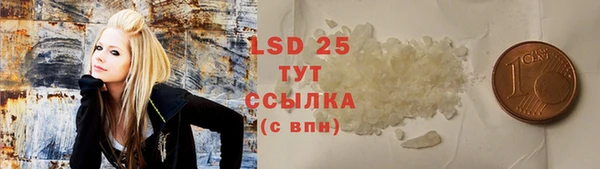 амф Новозыбков