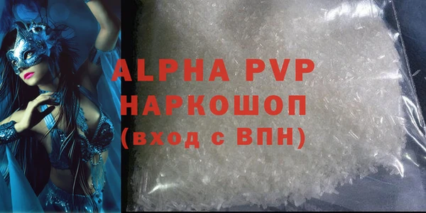 амф Новозыбков