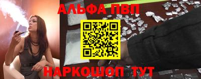 стафф Гатчина