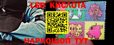 стафф Гатчина
