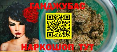 стафф Гатчина