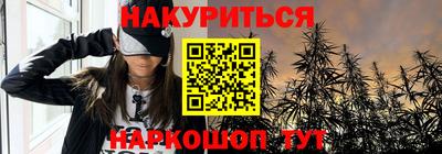стафф Гатчина