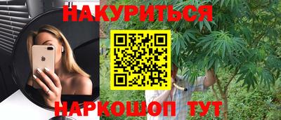 стафф Гатчина