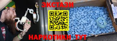 стафф Гатчина