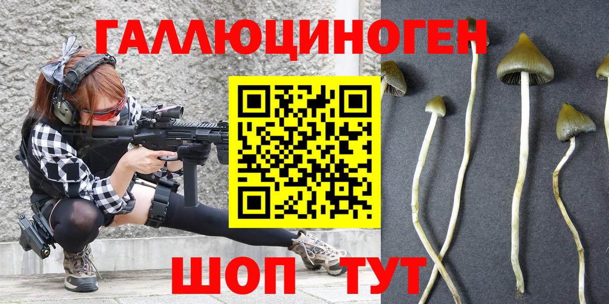 Галлюциногенные грибы прущие грибы Ирбит