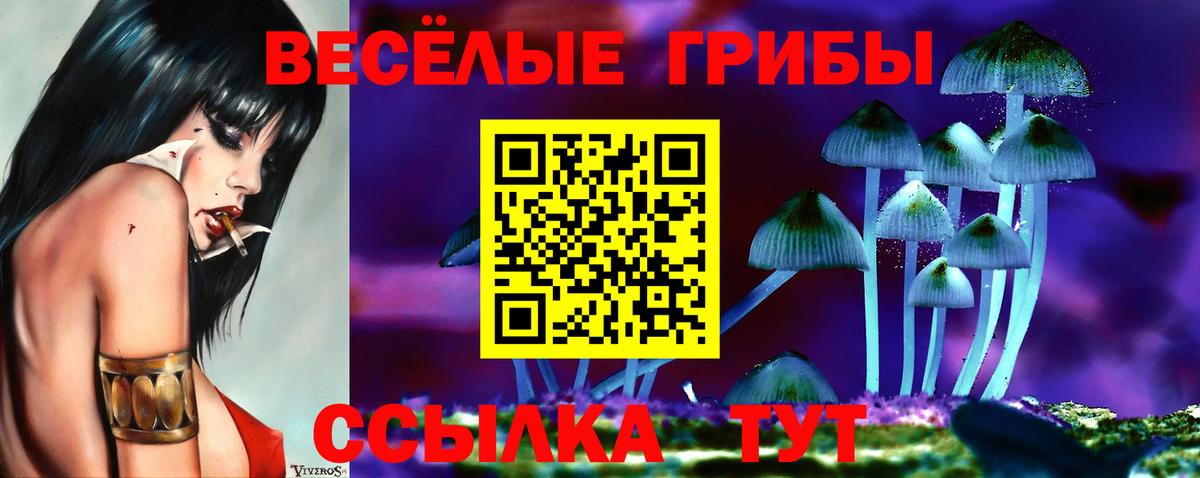 Псилоцибиновые грибы ЛСД  дарнет шоп  Псилоцибиновые грибы GOLDEN TEACHER  Ирбит  Вход с VPN 